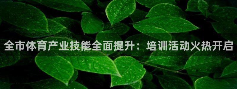 欧陆娱乐公司产品介绍怎么写：全市体育产业技能全面提升