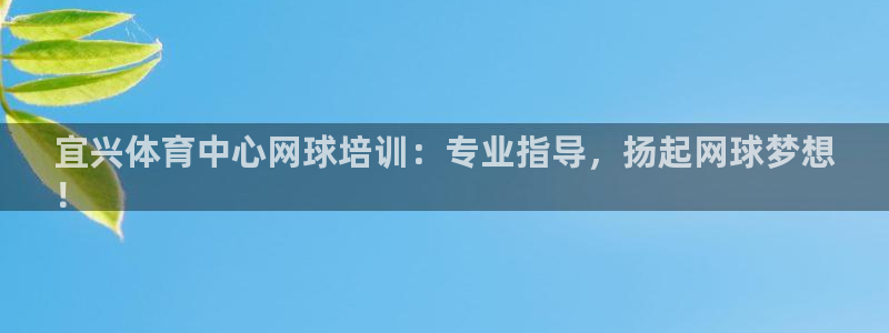 欧陆娱乐出款：宜兴体育中心网球培训：专业指导，扬起网