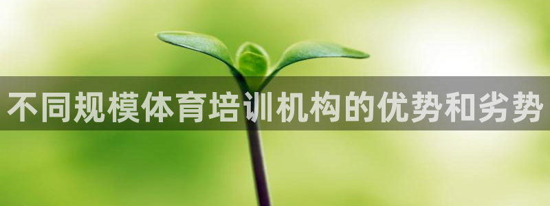 欧陆娱乐不让提现：不同规模体育培训机构的优势和劣势