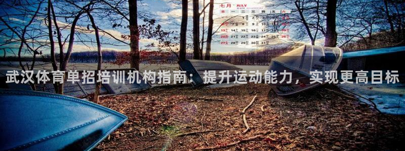 欧陆娱乐官方网站入口：武汉体育单招培训机构指南：提升